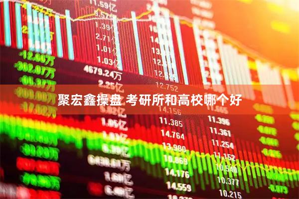 聚宏鑫操盘 考研所和高校哪个好