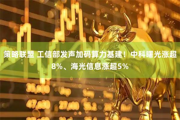 策略联盟 工信部发声加码算力基建！中科曙光涨超8%、海光信息涨超5%